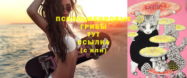 гидропоника Верея